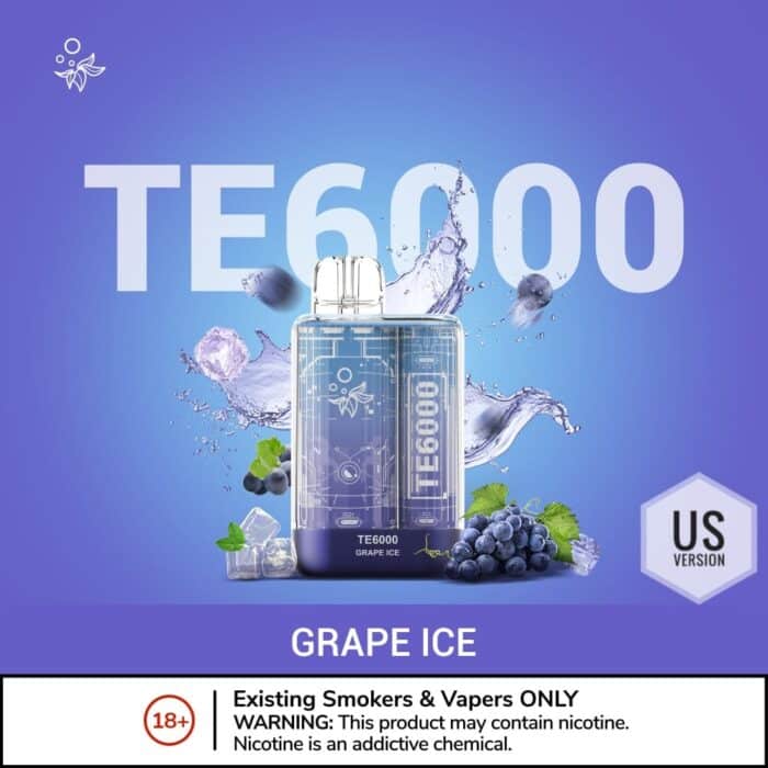 Elfbar TE6000 US Version
