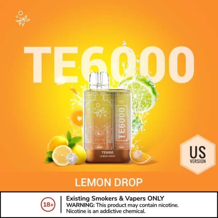 Elfbar TE6000 US Version