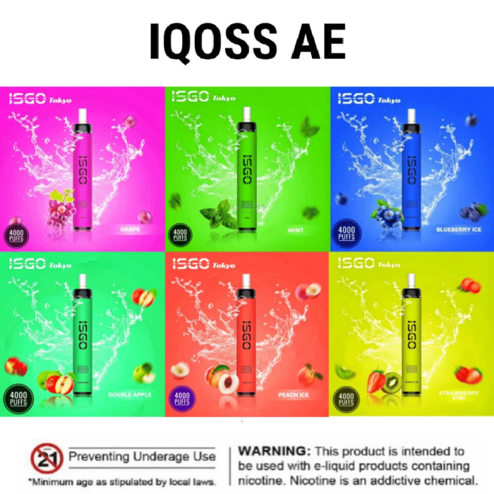 ISGO Tokyo 4000 Puffs Disposable Vape