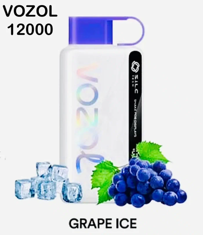 Vozol Star 12000 Puffs Disposable Vape