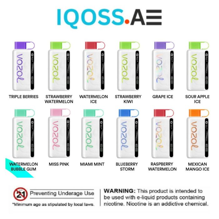 Vozol Star 12000 Puffs Disposable Vape